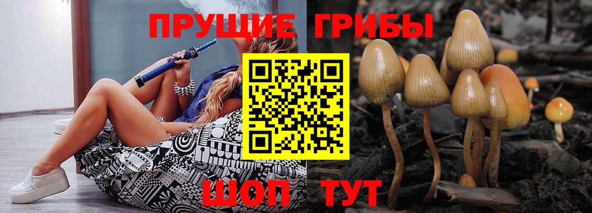 Псилоцибиновые грибы MAGIC MUSHROOMS Бахчисарай